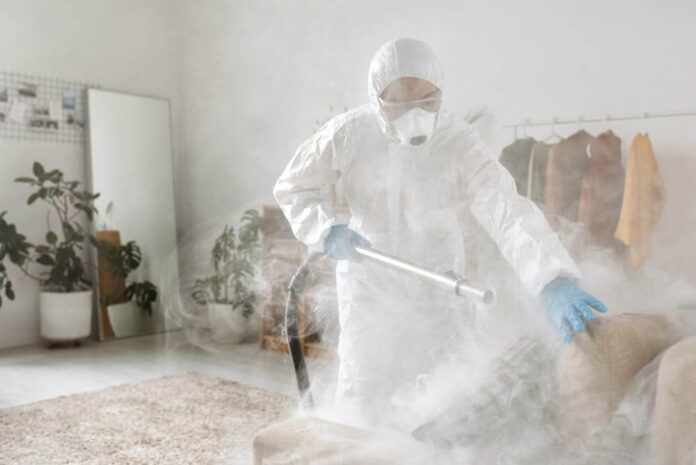 Professional Flea Extermination Services